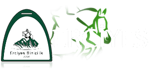 Erciyes Binicilik - Atlı Spor Kulübü